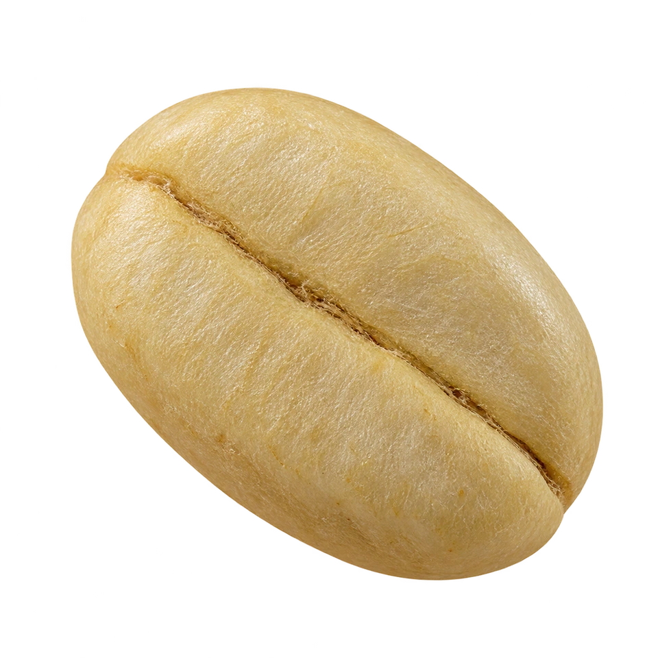 Dry Parchment
