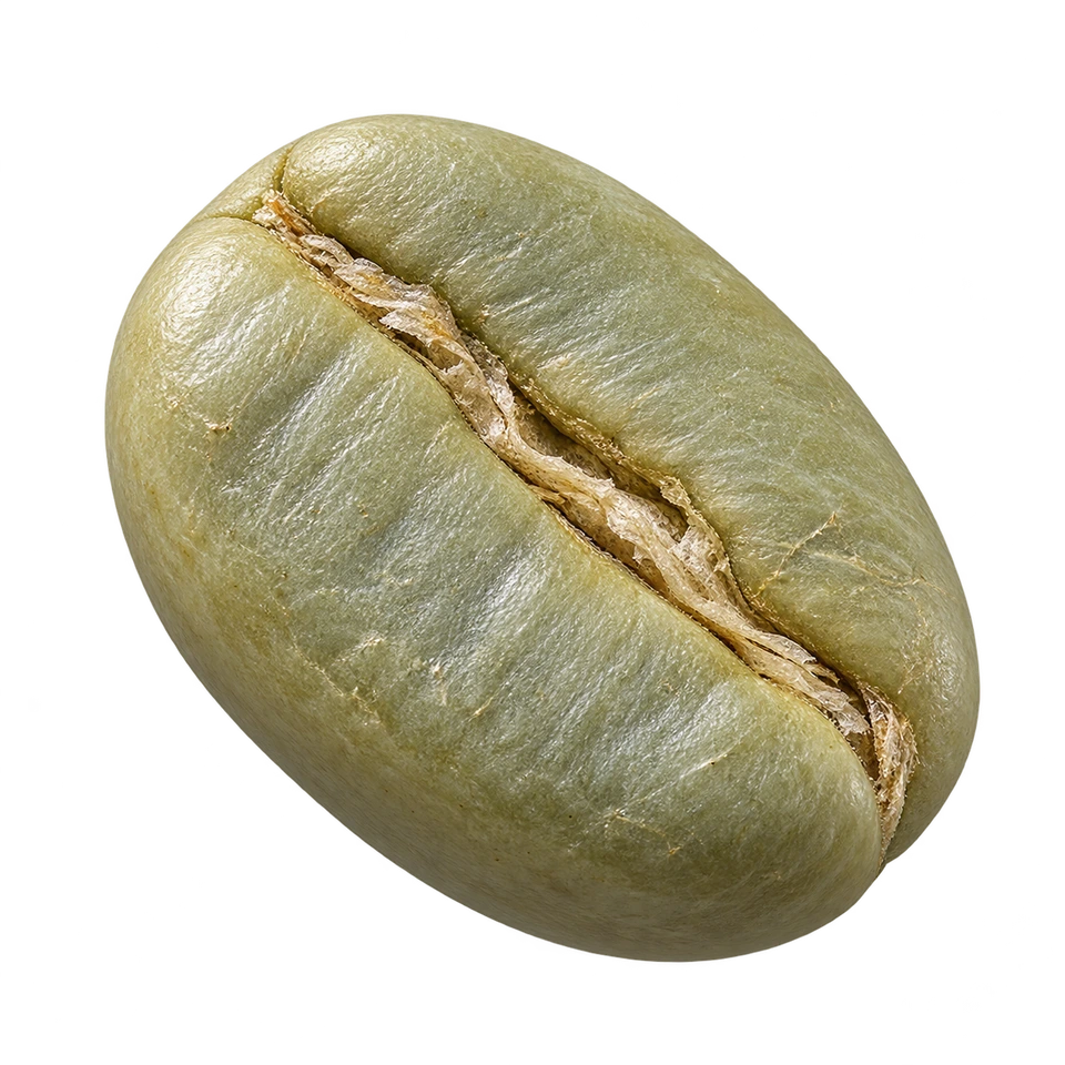 Green Coffee