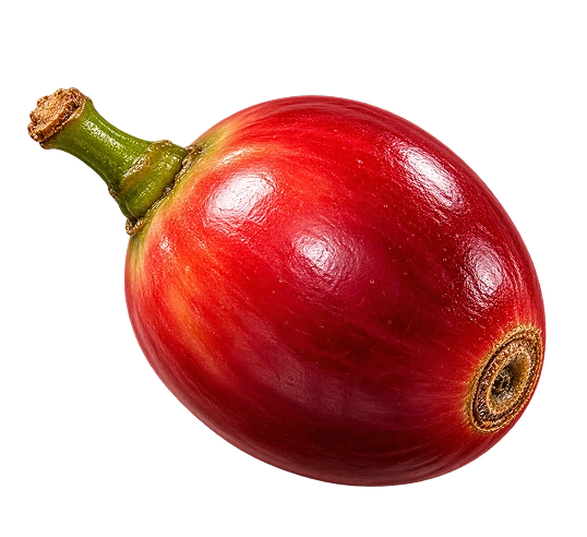 Red Cherry